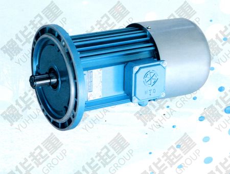 YDE系列實(shí)心轉子制動(dòng)三相異步電動(dòng)機