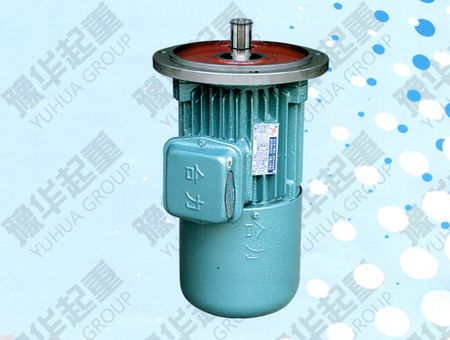 YDE系列實(shí)心轉子制動(dòng)三相異步電動(dòng)機